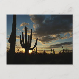 Cartão Postal Paisagem do Deserto de Arizona Saguaro Sunset II