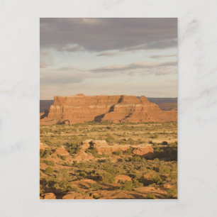 Cartão Postal Paisagem do deserto de inverno cêntrico a caminho