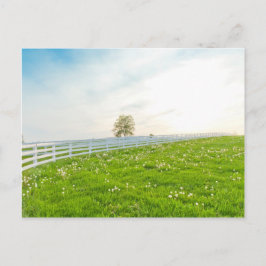 Cartão Postal Paisagem do primavera do país