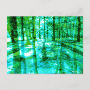 Cartão Postal Paisagem Florestal Árvores Abstratas em Água e Ver