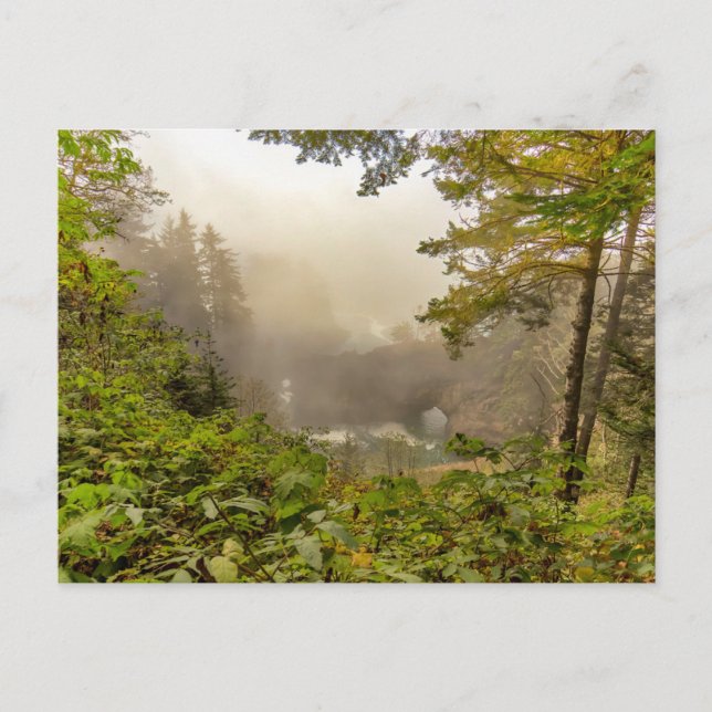 Cartão Postal Paisagem Florestal e Oceânica (Frente)