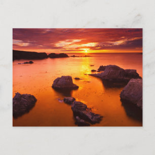 Cartão Postal Paisagem marinha laranja, pôr do sol, Califórnia