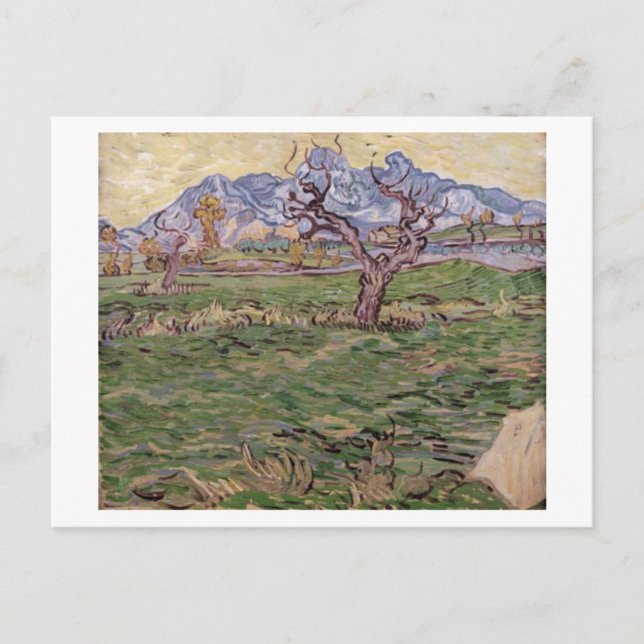 Cartão Postal Paisagem Montanhas de Árvores Olivais, Van Gogh Fi (Frente)