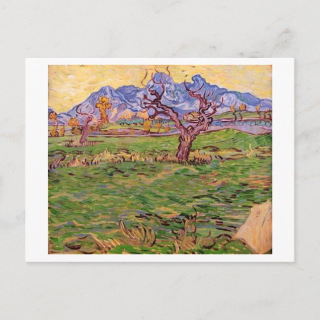 Cartão Postal Paisagem Montanhas de Árvores Olivais, Van Gogh Fi (Frente)