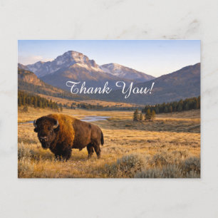 Cartão Postal Paisagem Montanhosa Bisonte Americano Obrigado