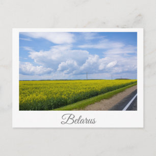 Cartão Postal Paisagem Natural Canola Campo Rural Belarus Postca