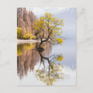 Cartão Postal Paisagem natural do outono de Árvore Wanaka