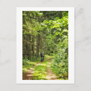 Cartão Postal Paisagem Natureza Paisagem Floresta Ciclismo Bielo