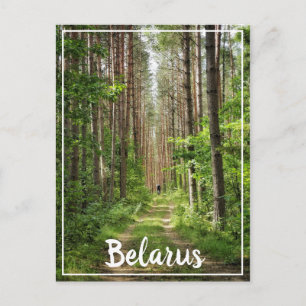Cartão Postal Paisagem Natureza Paisagem Floresta Ciclismo Bielo