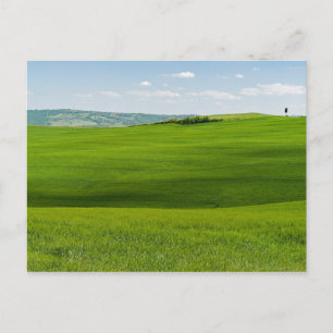 Cartão Postal Paisagem Toscana Típica com Colinas - Itália