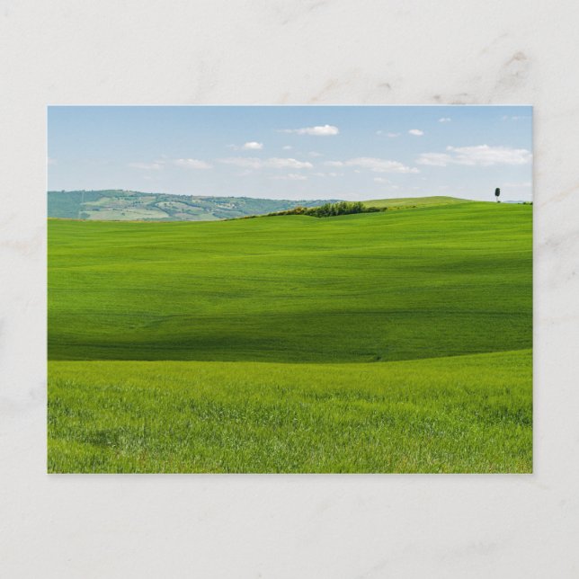 Cartão Postal Paisagem Toscana Típica com Colinas - Itália (Frente)
