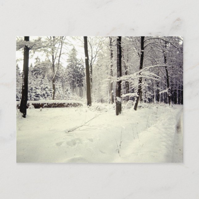 Cartão Postal Paisagens (Frente)