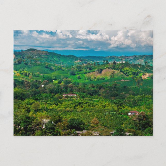 Cartão Postal Paisaje del café (Frente)