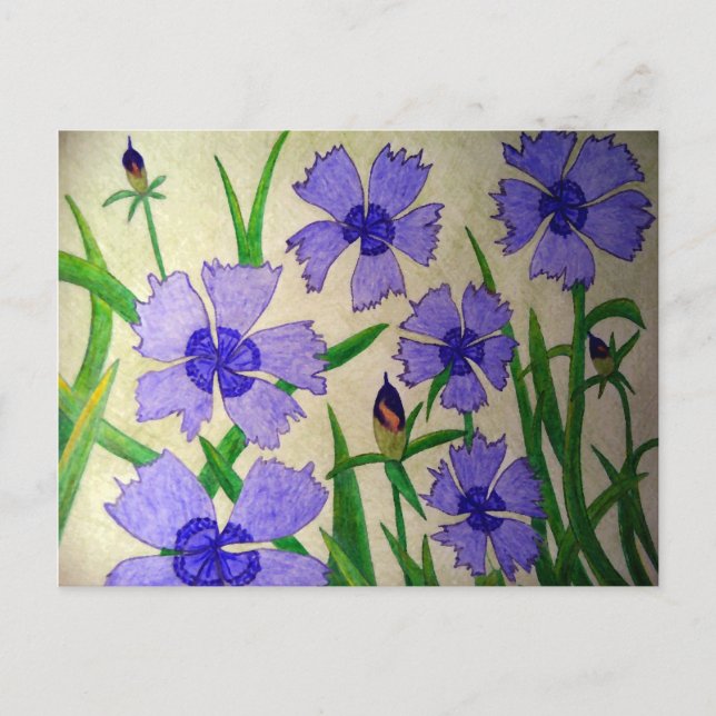 Cartão Postal Paixão Roxo (Frente)