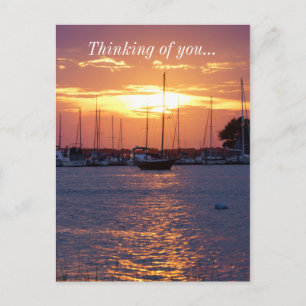Cartão Postal Paixão Roxo Sunset