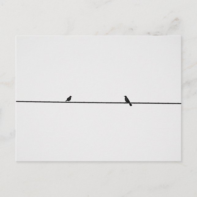 Cartão Postal Pájaros Amigos (Frente)