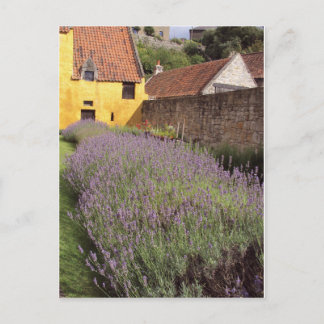 Cartão Postal Palácio Culross - Jardim Frontal