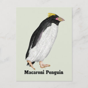 Cartão Postal Palaeeudyptes Extinct Penguin