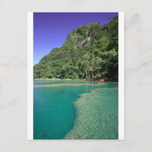 Cartão Postal Palagoa verde-paraísa Semuc Champey Guatemala