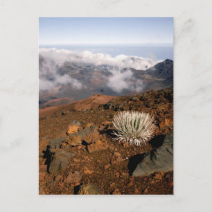 Cartão Postal Palavra-de-prata sobre a cratera de Haleakala, per