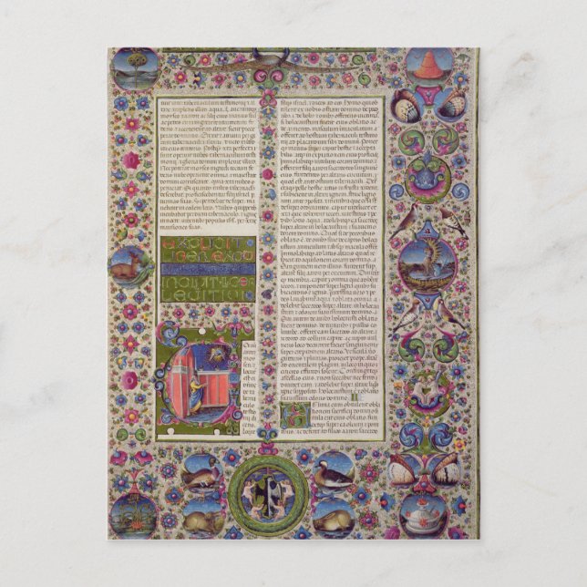 Cartão Postal Palavras de abertura do Levítico (Frente)