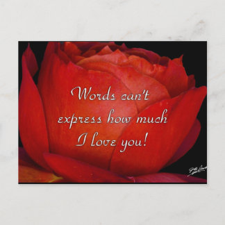 Cartão Postal Palavras Não Conseguem Expressar