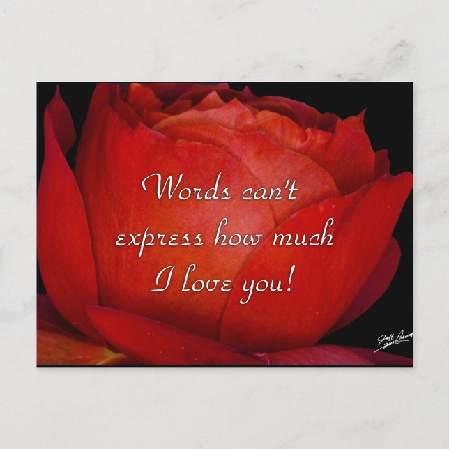 Cartão Postal Palavras Não Conseguem Expressar (Frente)