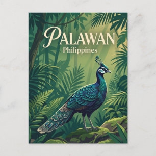 Cartão Postal Palawan Filipinas