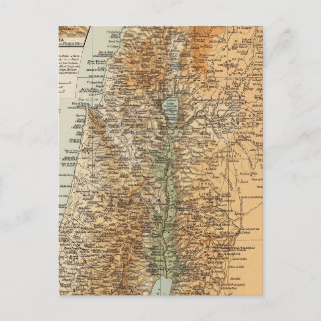 Cartão Postal Palestina 3 (Frente)