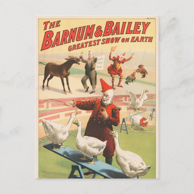 Cartão Postal Palhaços Com Geese, Roosters E Donkey. (Frente)