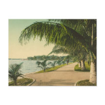 Palm Beach, 1898, cena da Flórida