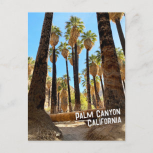 Cartão Postal Palm Canyon California