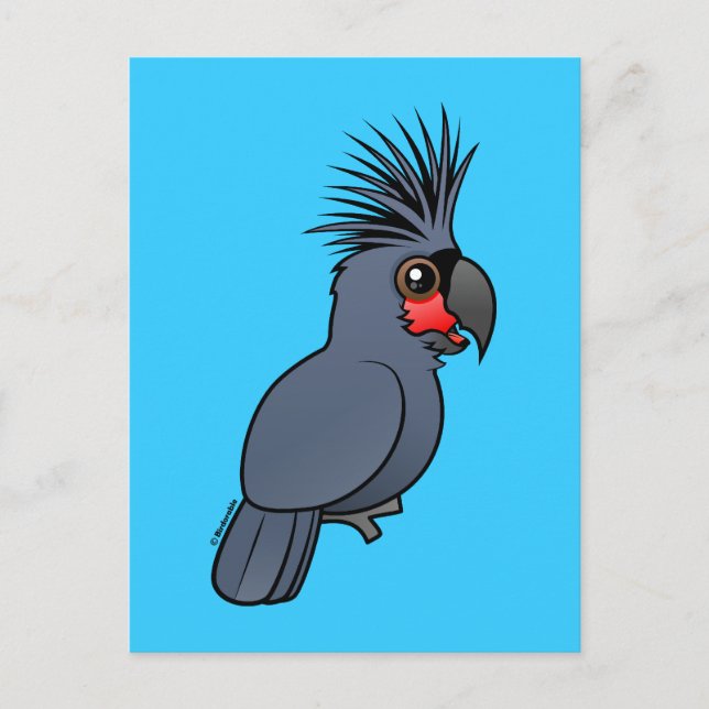 Cartão Postal Palm Cockatoo (Frente)