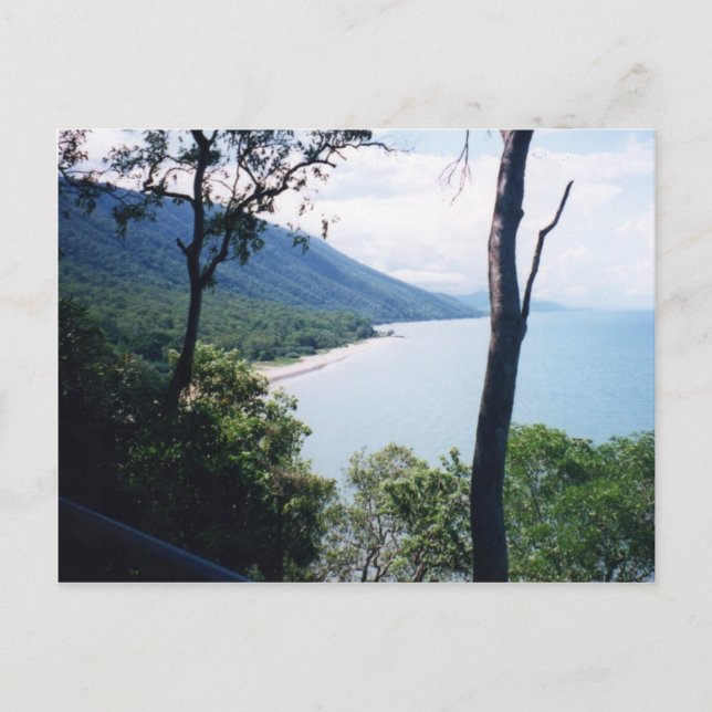 Cartão Postal Palm Cove (Frente)