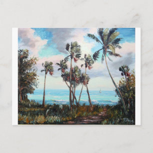 Cartão Postal Palm Cove