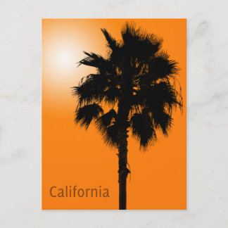 Cartão Postal Palm da Califórnia