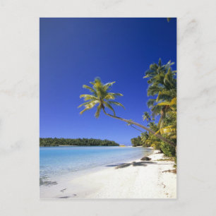 Cartão Postal Palm lined beach Cook Islands