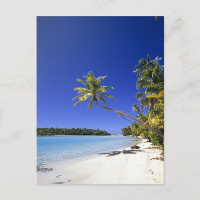 Cartão Postal Palm lined beach Cook Islands (Frente)