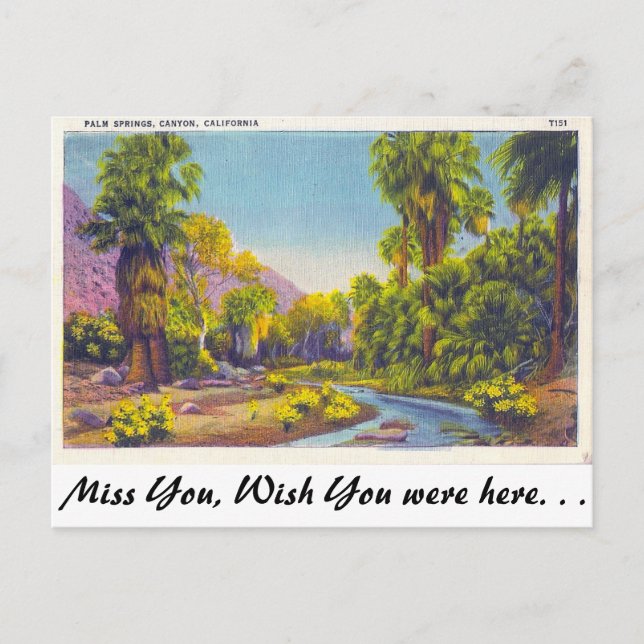 Cartão Postal Palm Primavera Canyon, Califórnia (Frente)
