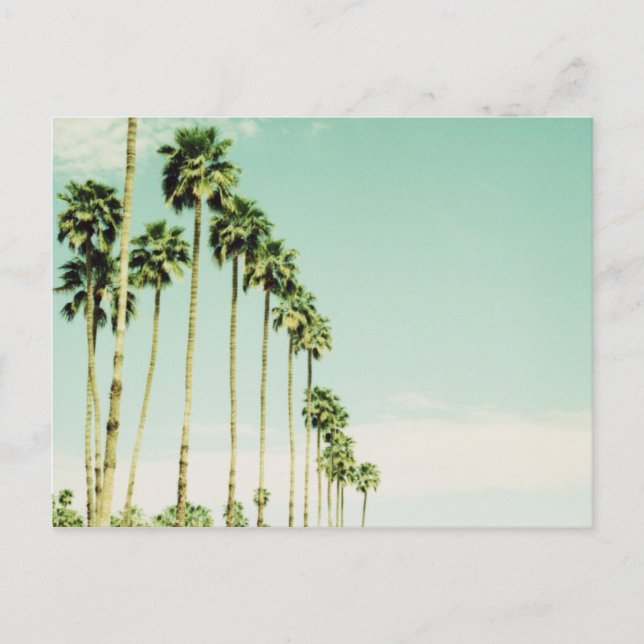 Cartão Postal Palm Springs (Frente)