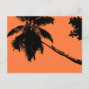 Cartão Postal Palm Tree