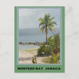 Cartão Postal Palm Tree, Montego Bay Jamaica junho de 2011