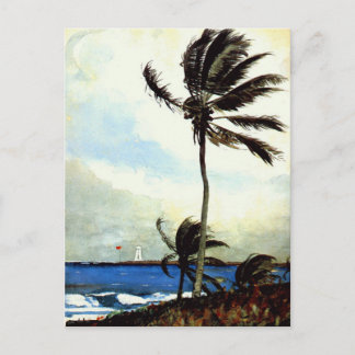 Cartão Postal Palm Tree-Nassau