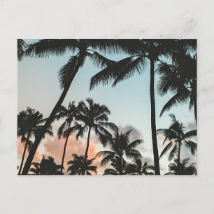 Cartão Postal Palm Tree Silhouettes