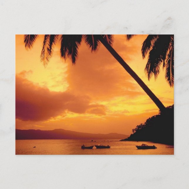 Cartão Postal Palm Tree sobre a Água (Frente)