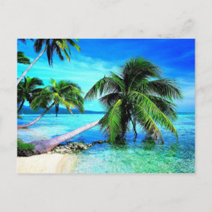 Cartão Postal Palm Tree Tropical Island Beach