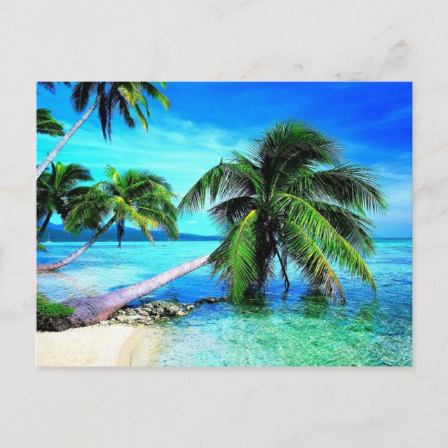 Cartão Postal Palm Tree Tropical Island Beach (Frente)