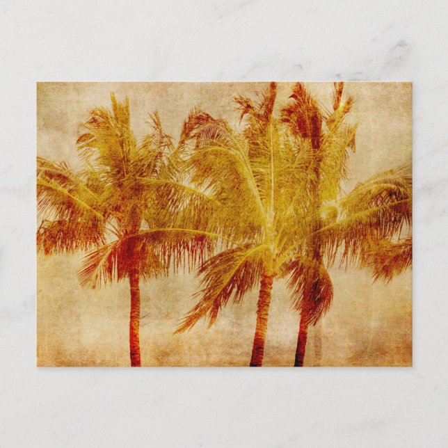 Cartão Postal Palm Tree Vintage (Frente)
