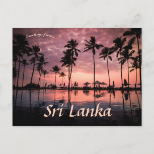 Cartão Postal Palm Trees em Negombo Beach no Sri Lanka