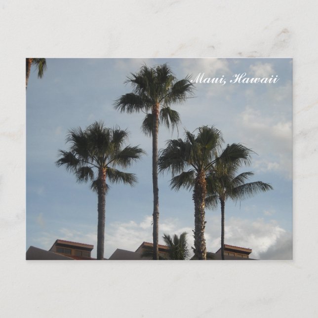 Cartão Postal Palm Trees Maui Hawaii (Frente)